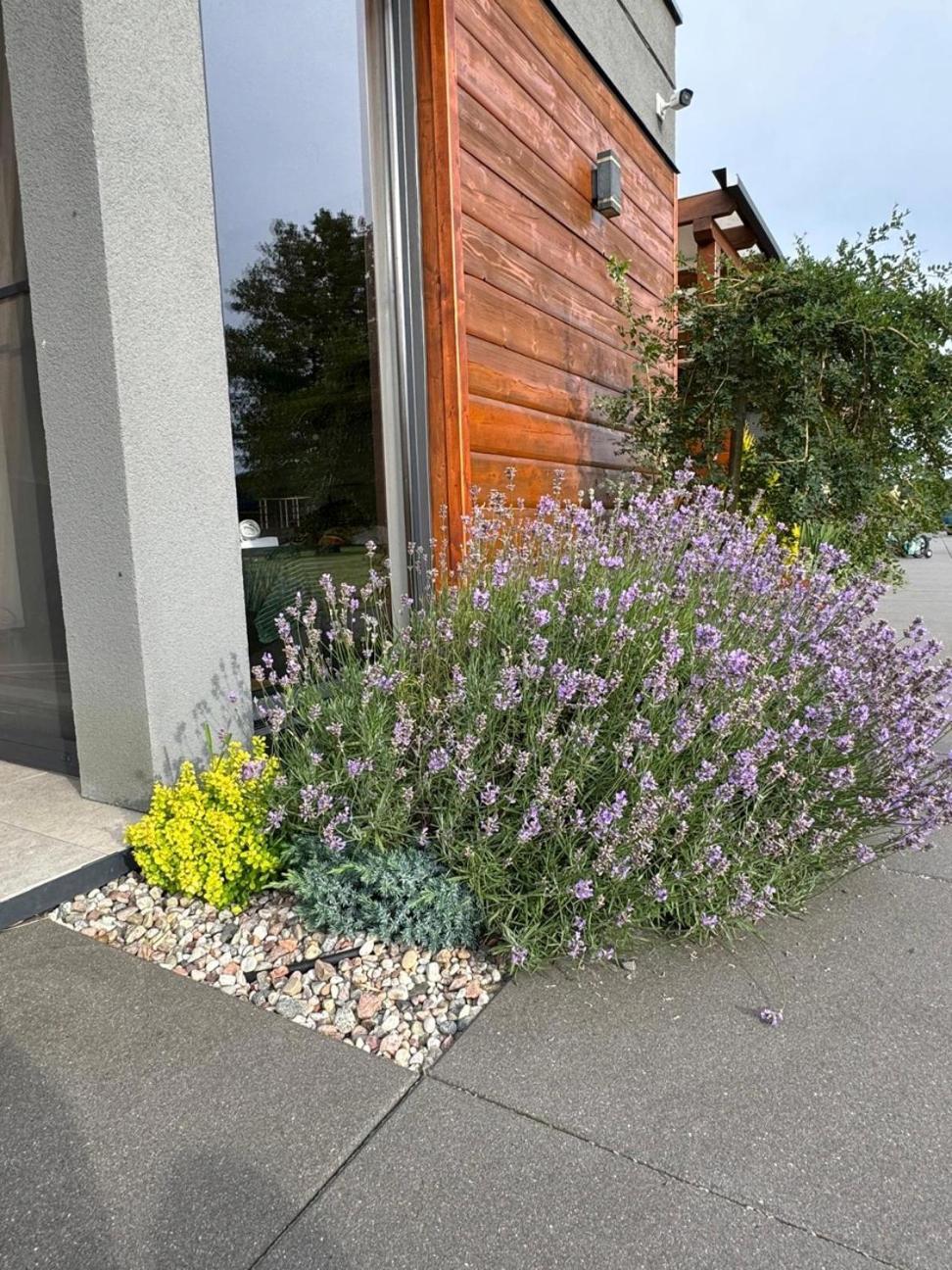 Cisza Bungalows Village / Blisko Natury Nowecin Extérieur photo